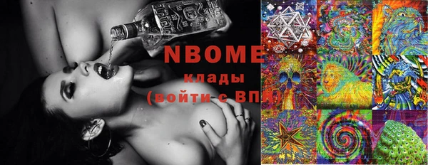 стаф Баксан