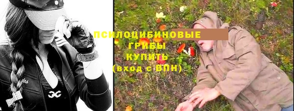 мдпв Мегион