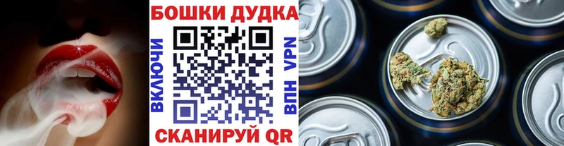 Конопля ГИДРОПОН цены Ступино